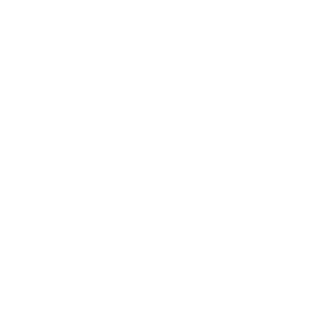 Vap Bro
